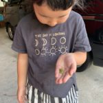 リフレッシュ！