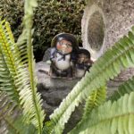 今年もよろしくお願いします☆