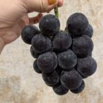 お休みありがとうございました！