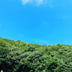 grooming’お休みのお知らせ