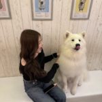 最近のお出かけ🐕🤍🤍