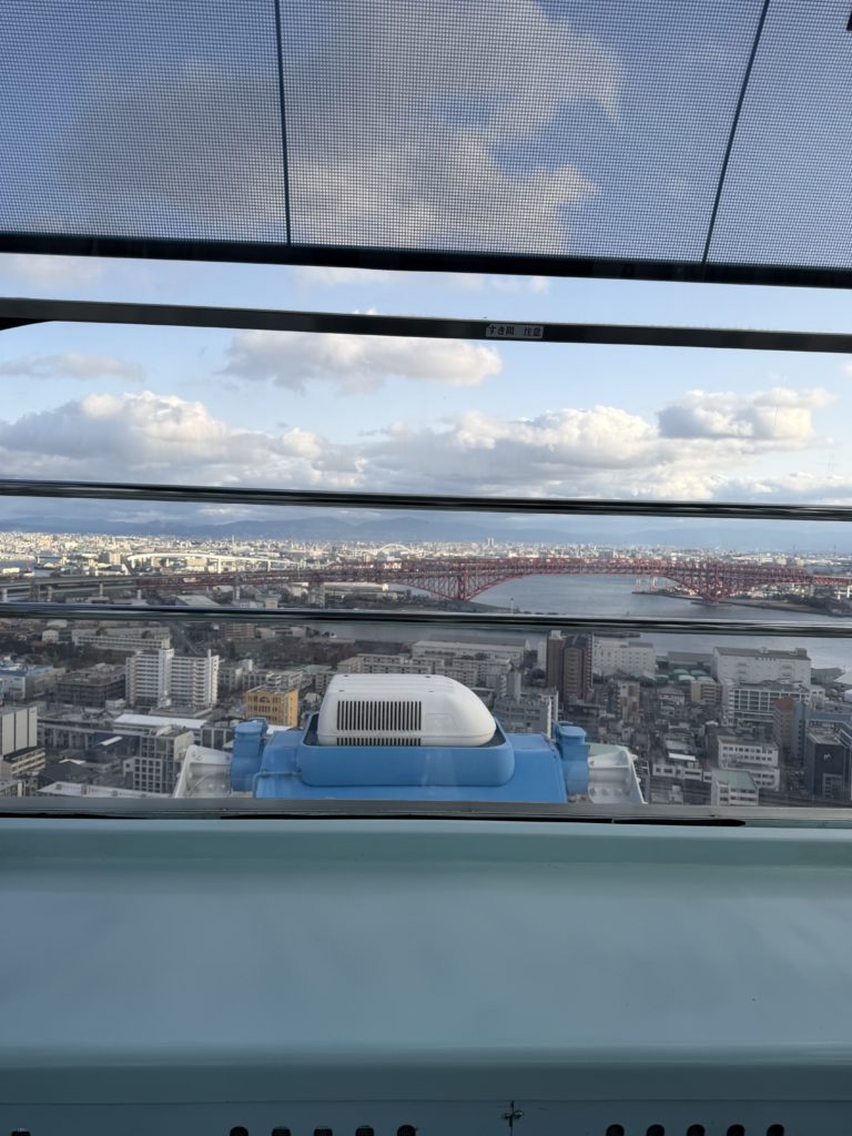 弾丸大阪〜🐕🎶✨ 5